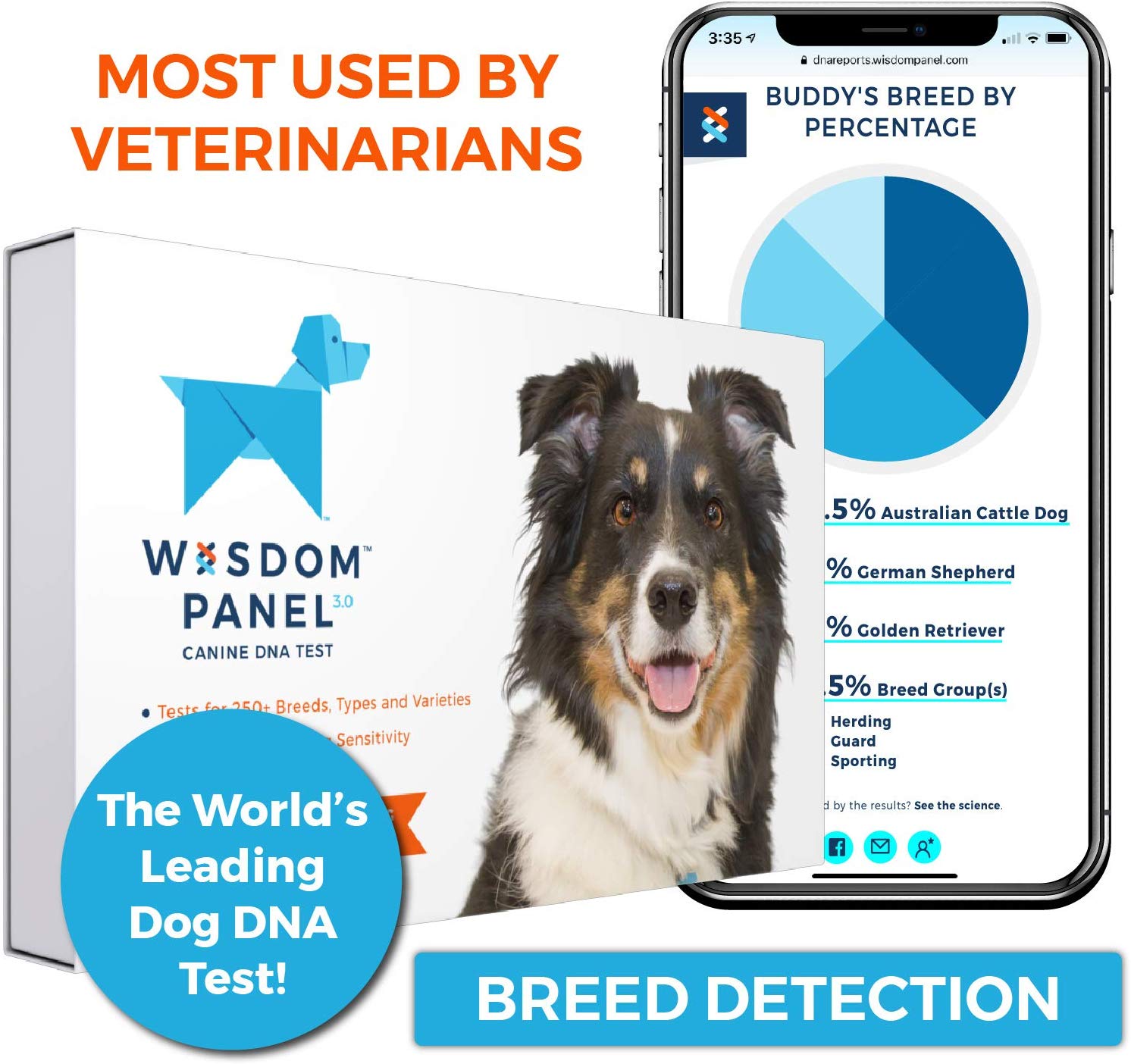 dog dna test